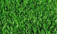 recycling-artificial-grass-plant